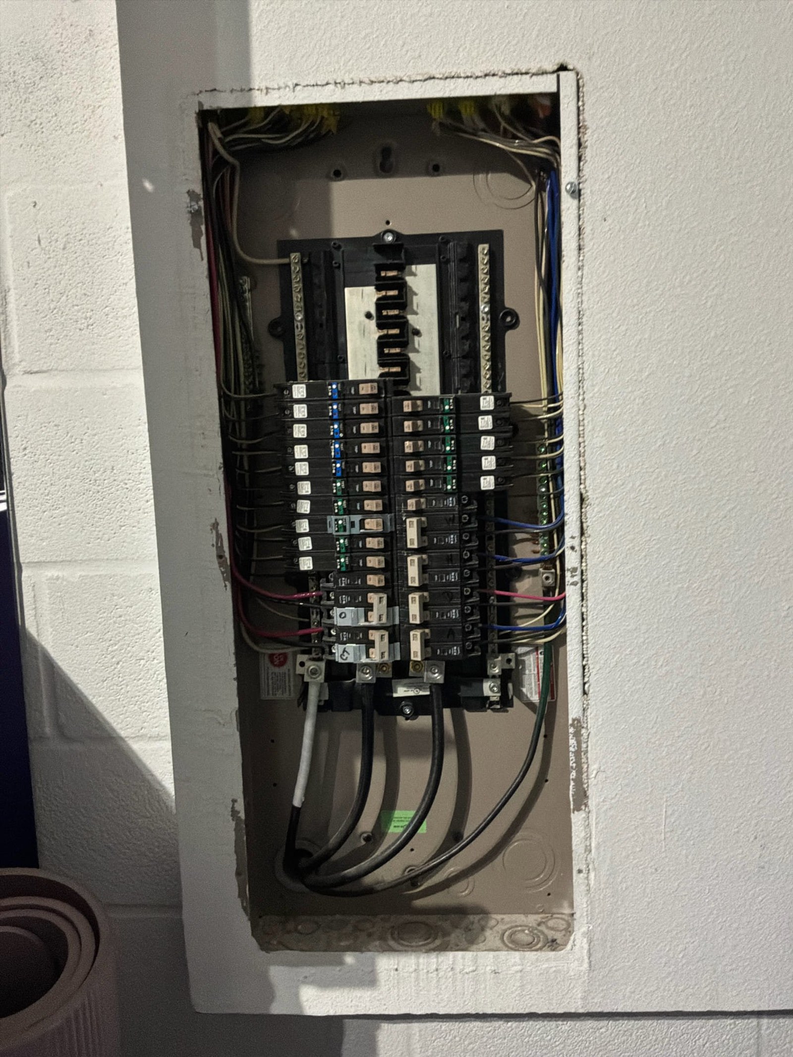 Smart Surge Protection Upgrade for Lutz Home Safety