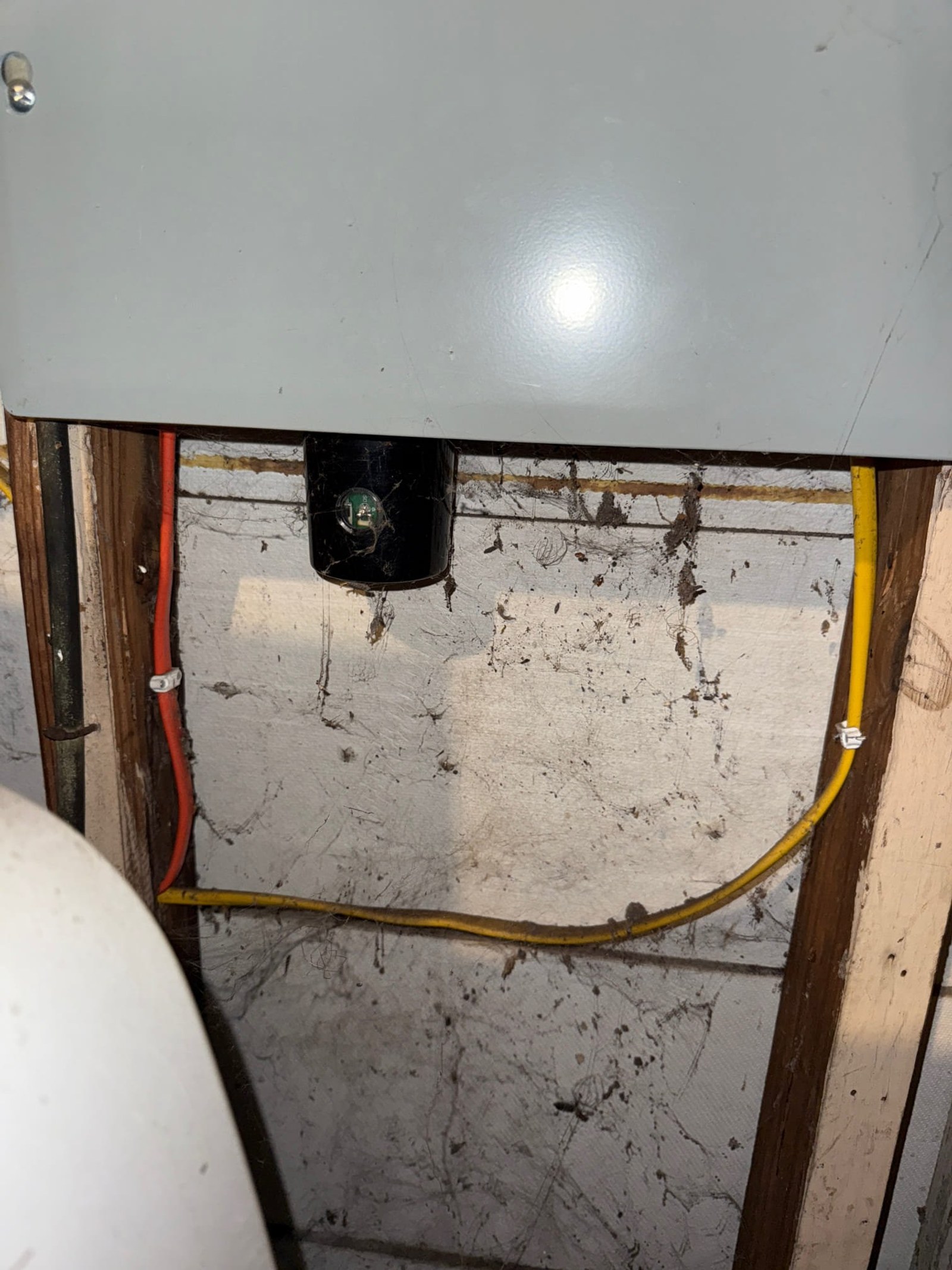 Wiring protection added during Tampa power restoration job